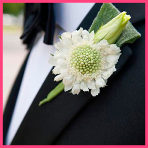 DASHING BOUTONNIERE